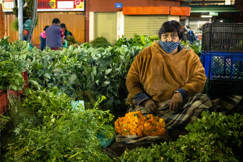 mujer en puesto de mercado