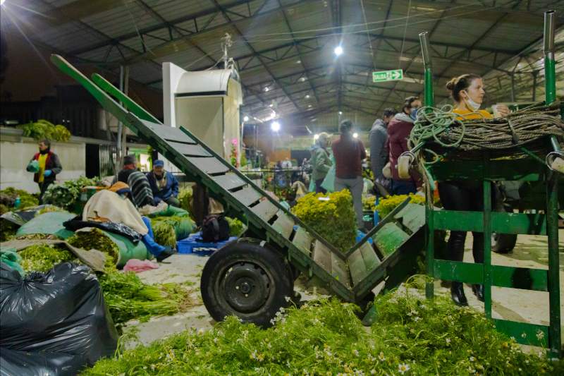 mujer en puesto de mercado