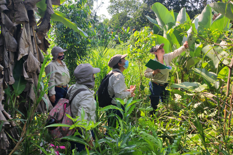 investigadores en campo, monitoreo