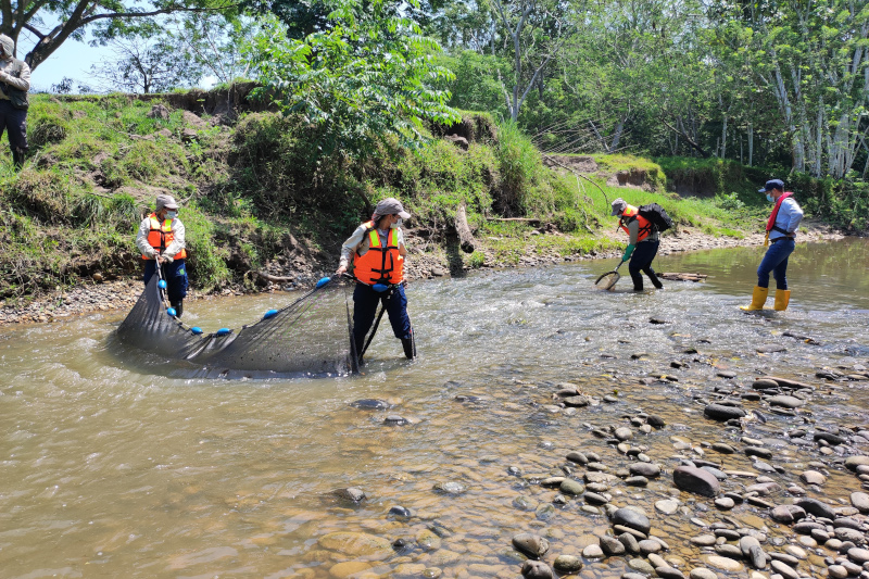 investigadores pescando con red