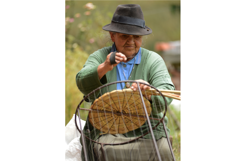 transformación de la hoja de tabaco