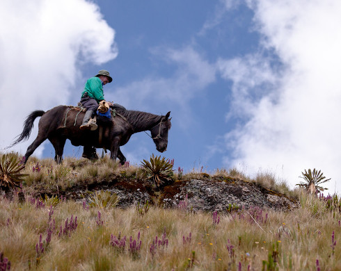 campesino a caballo en paramo