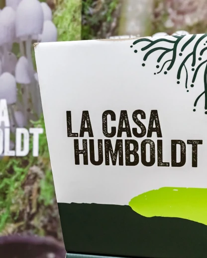 reunión de aliados en casa humboldt