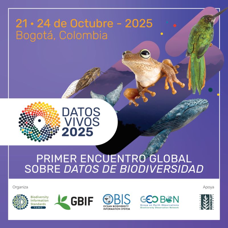 promocion datos vivos