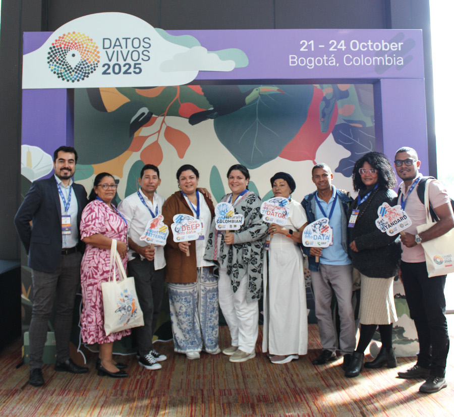 participantes de datos vivos bajo marco