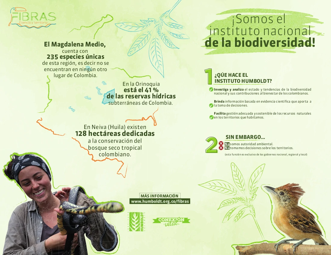 Síntesis infográfica convenio Fibras