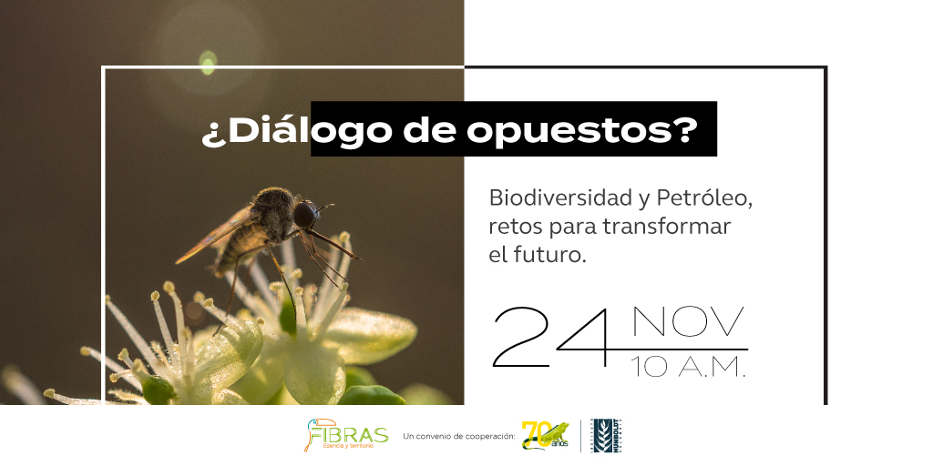 invitación