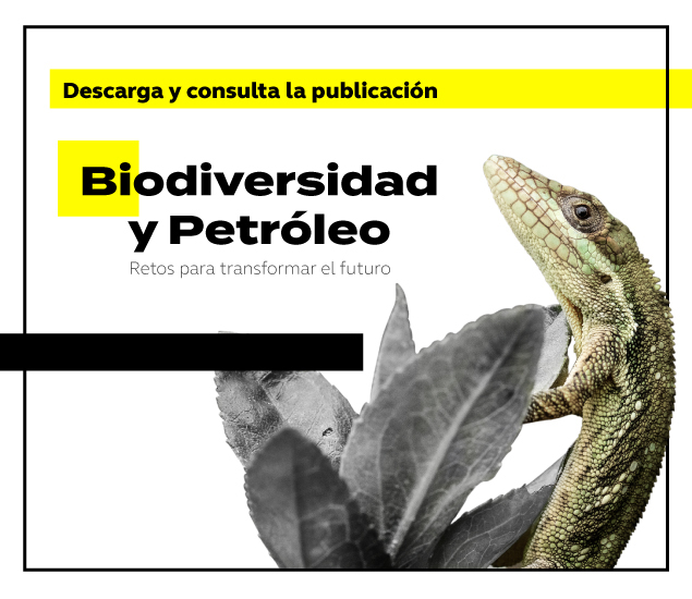 Biodiversidad y Petróleo
Retos para transformar el futuro