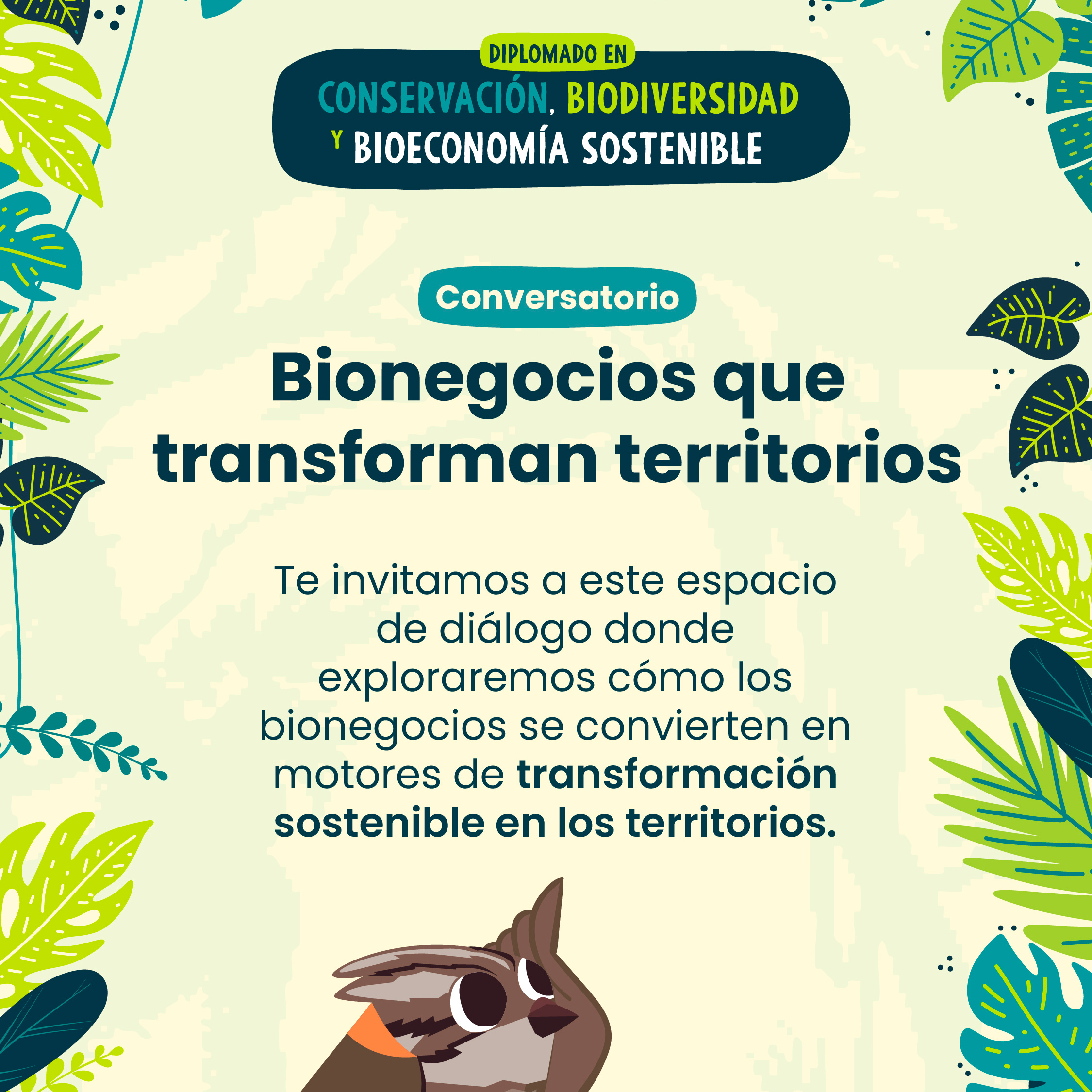 evento en vivo diplomado