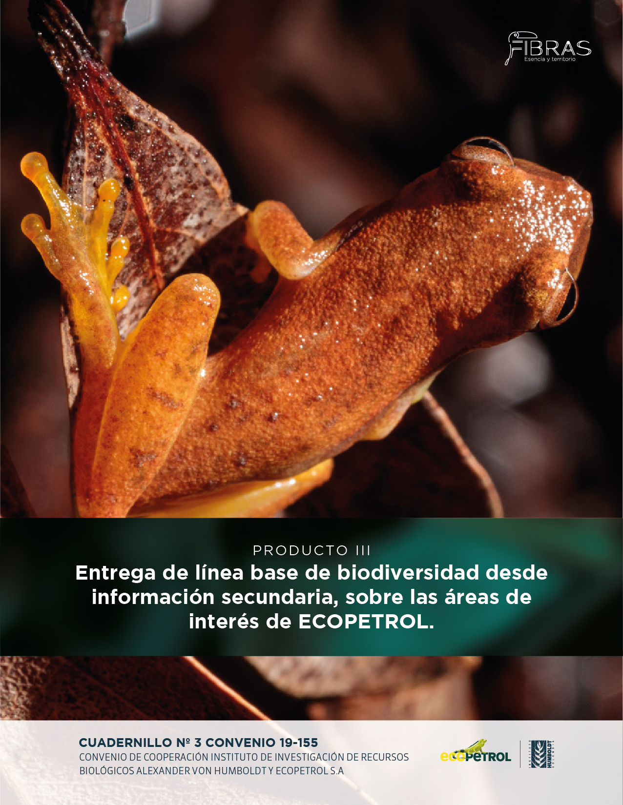 cuadernillo 1