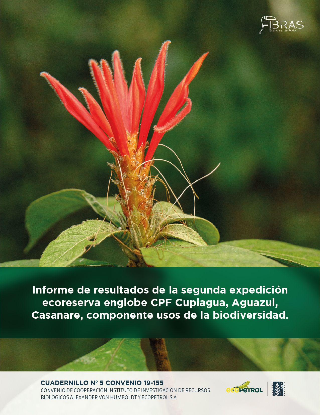 cuadernillo 1