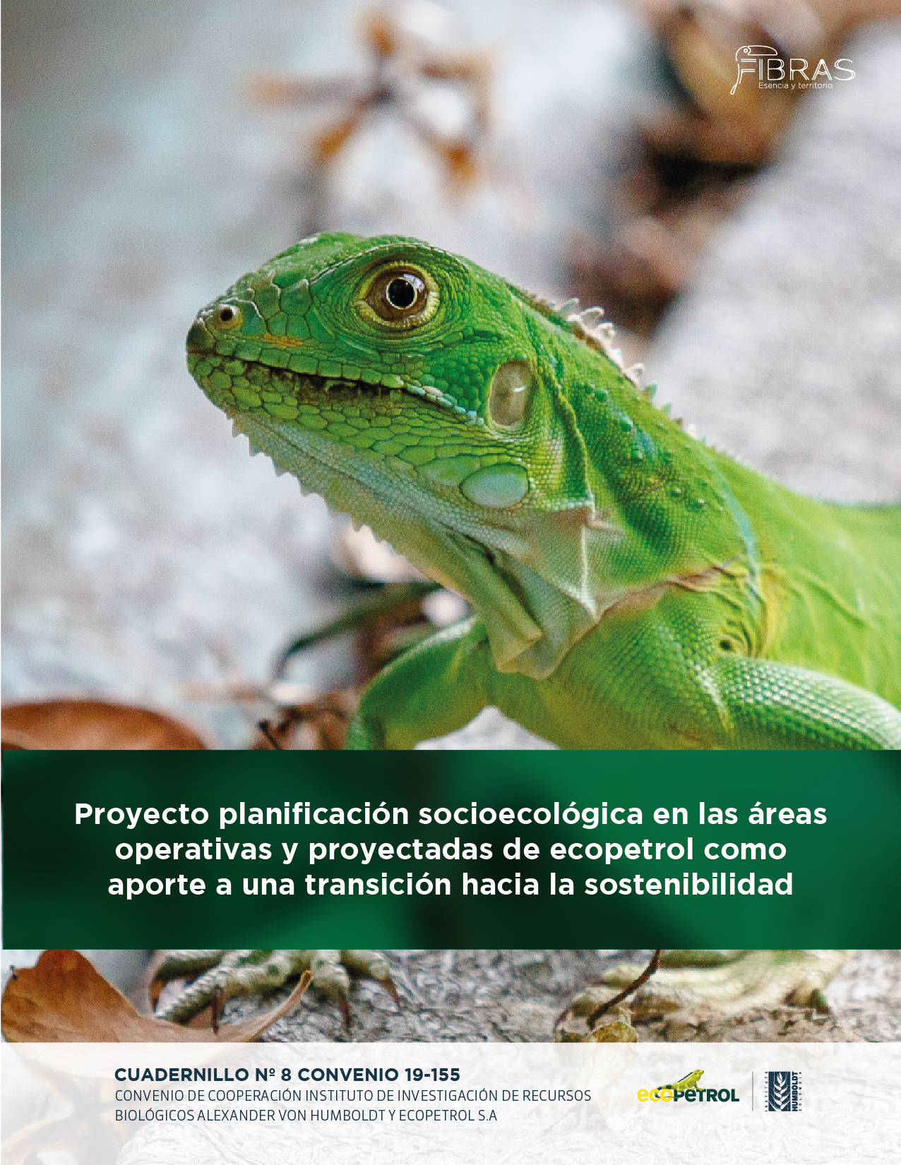cuadernillo 1