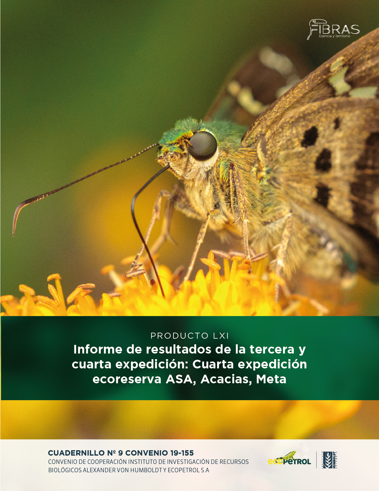 cuadernillo 1