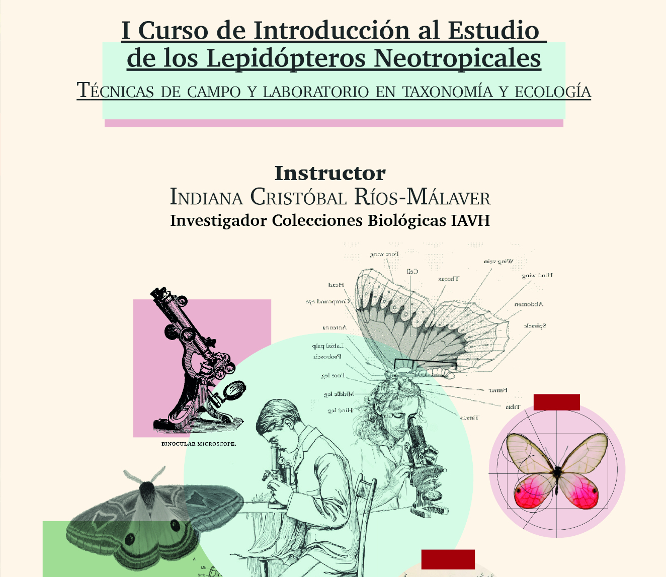 I Curso de introducción al estudio de los lepidópteros neotropicales