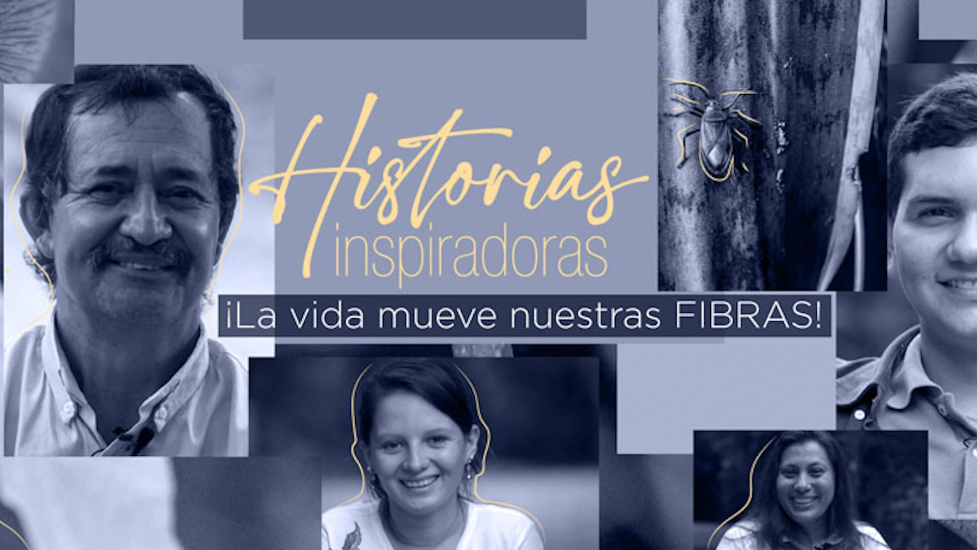 Conoce las Historias Inspiradoras