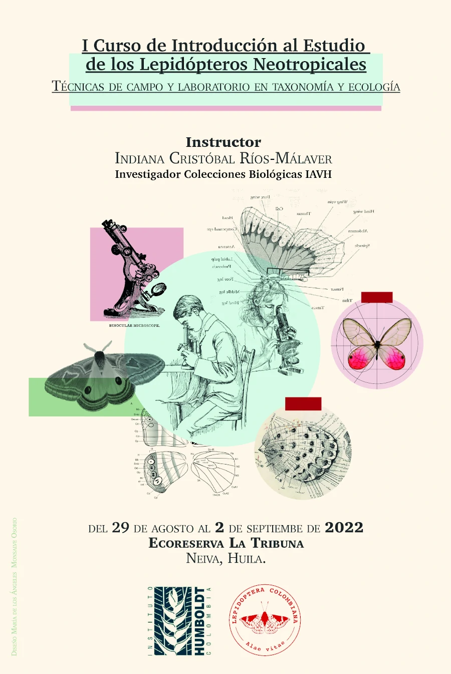 poster lepidopteros