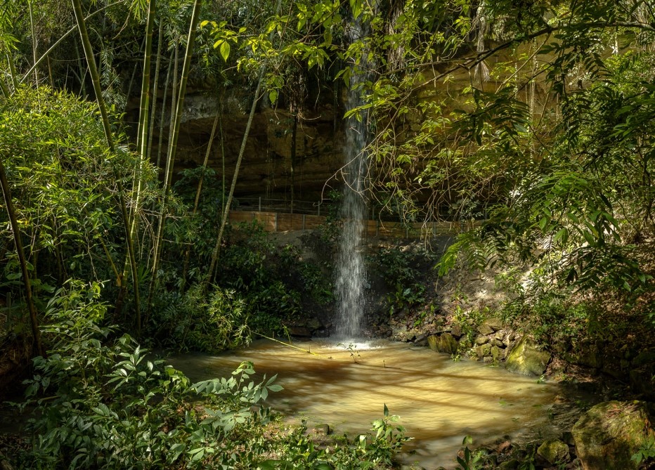 Ecoreserva La tribuna