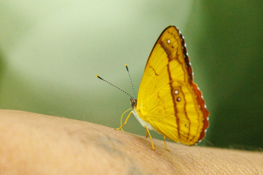 gallery-photo