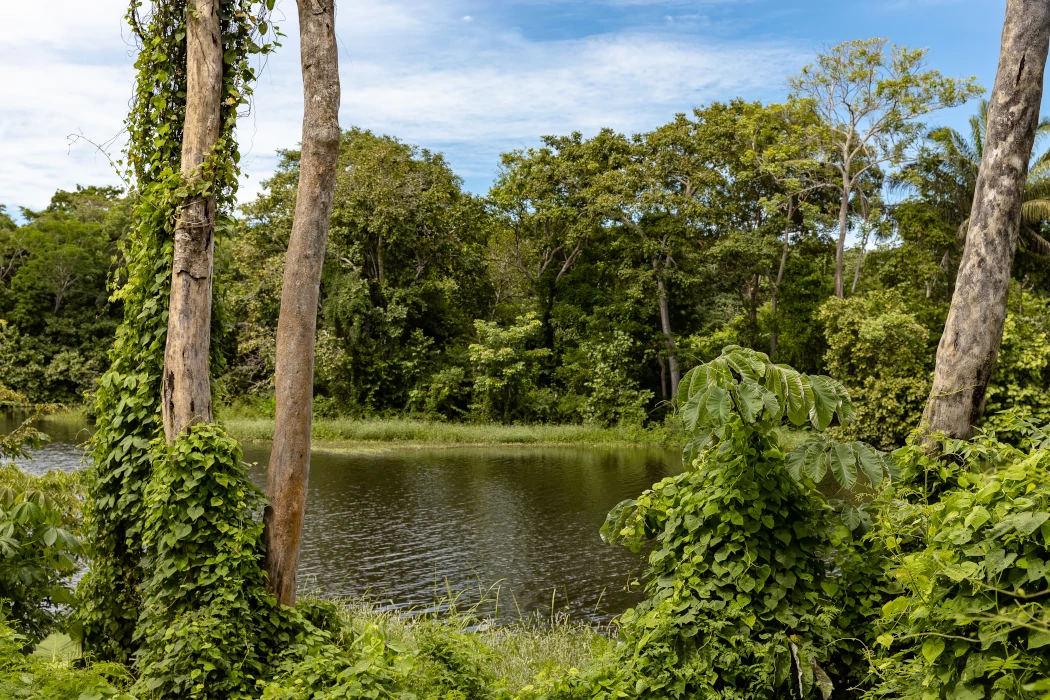 Ecoreserva bosque seco