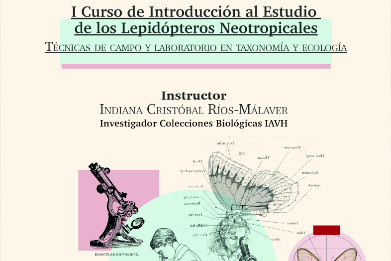 curso lepidoptera