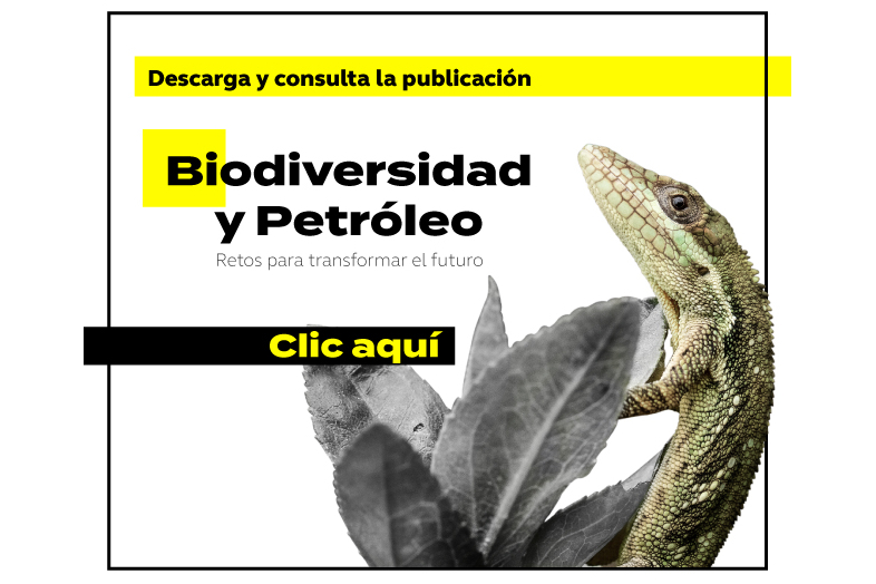 libro diversidad y petroleo