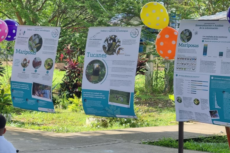 encuentro tucanes y mariposas