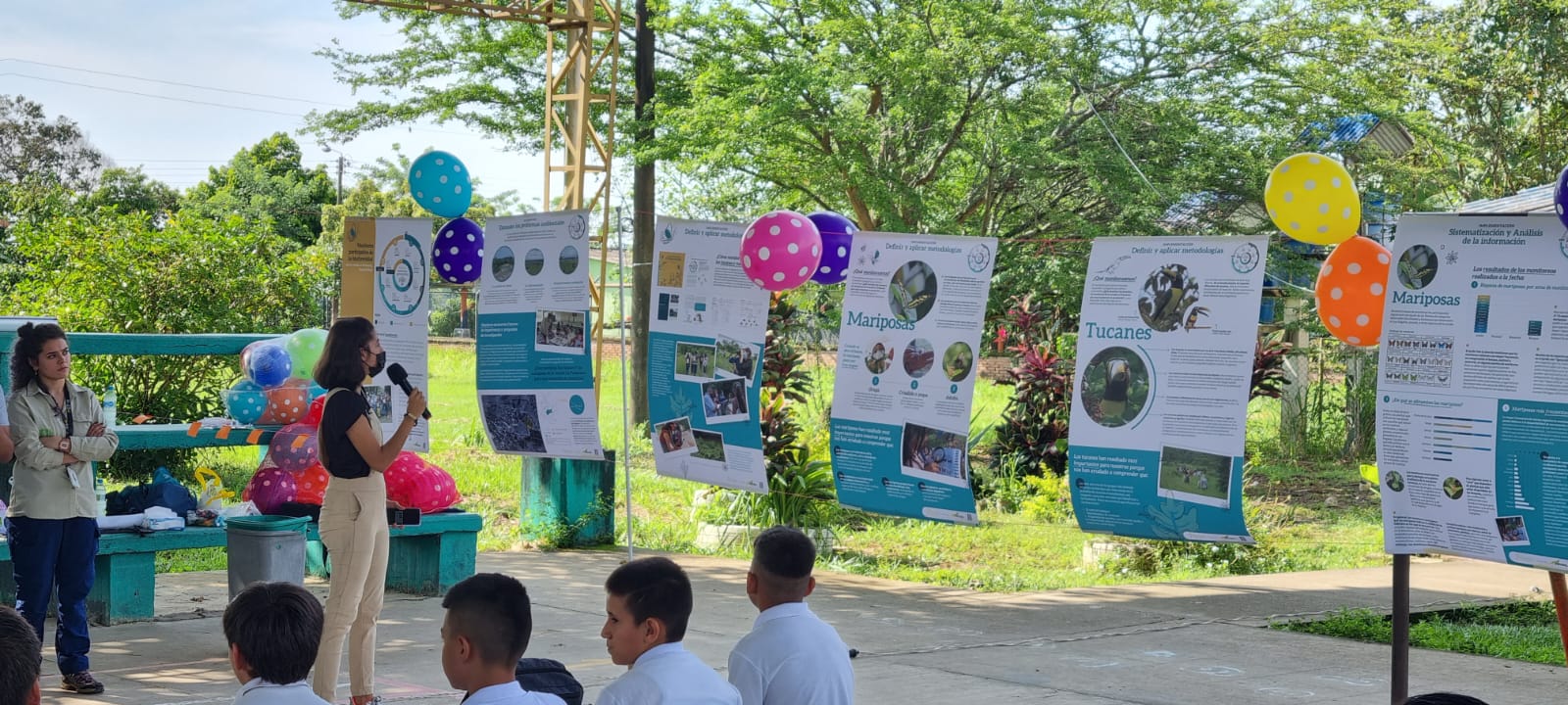 exposición de mariposas