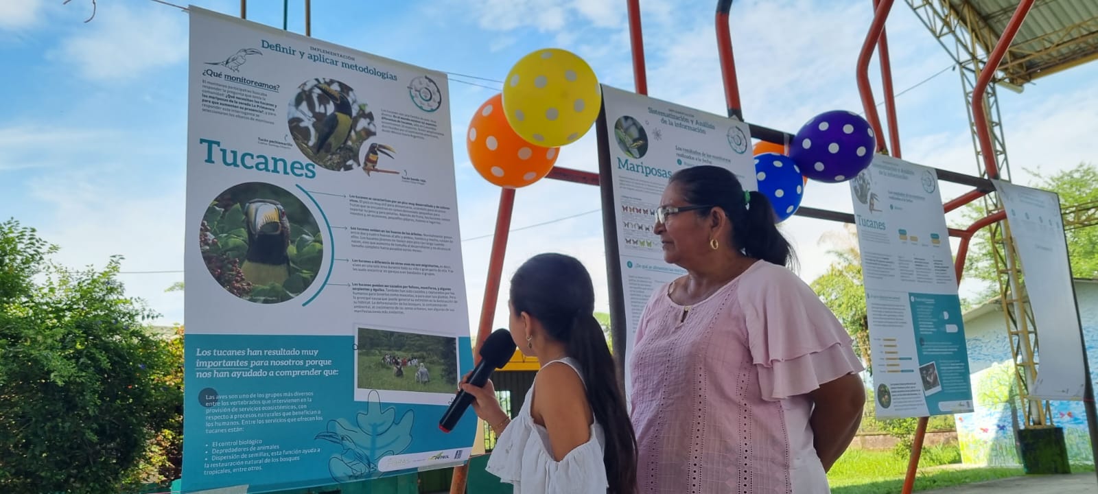 exposición de mariposas 2