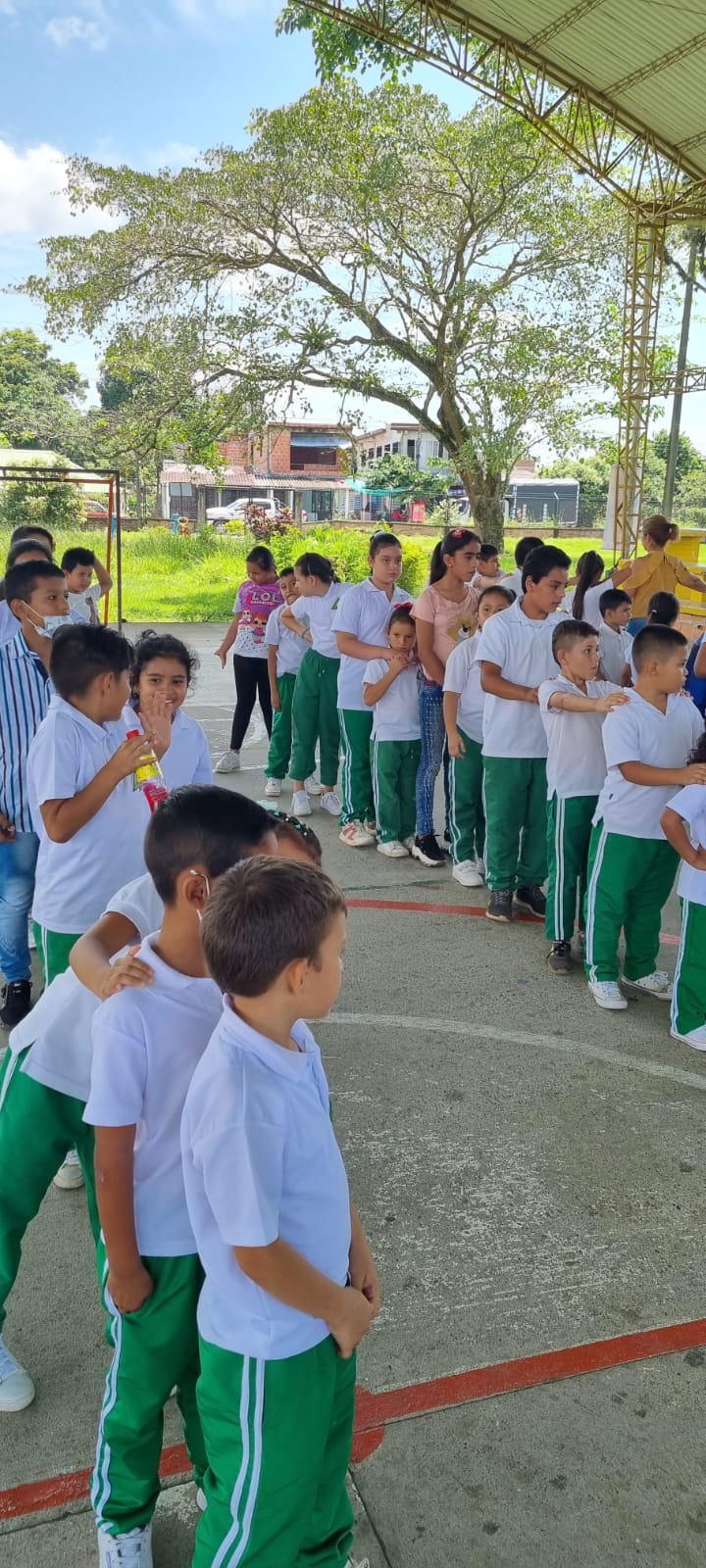 exposición de mariposas